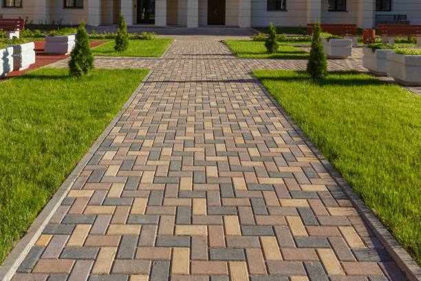 Best Professional Driveway Pavers  in Ocklawaha, FL